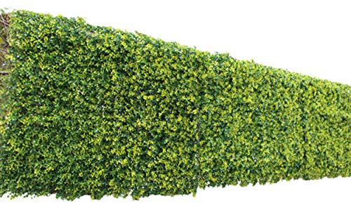 Field Partner botanikarufensu 1 X 1 m Box Wood Wind
