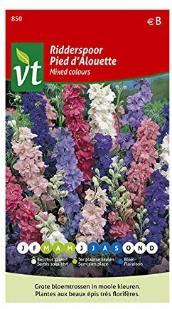 Espuelas de caballero, Delphinium - Colores mixtos - semillas de flores