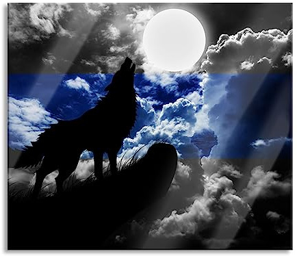 Wolf Silhouette im Vollmond Herdabdeckplatte & Spritzschutz aus Echtglas | Für Herd-Kochfelder | 60x52 cm