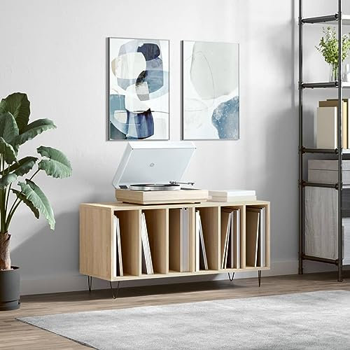 ARKEM Mobile Porta Dischi Rovere Sonoma 100x38x48cm Legno Multistrato,Supporto per Giradischi,Supporto per Giradischi in Legno, Supporto per Giradischi con Spazio di archiviazione