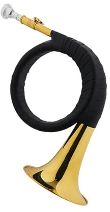 Doppeltes Waldhorn B Tonart Horn Ist Für Anfänger Geeignet Um Das Spielen Von Instrumenten Zu Üben(B flat)