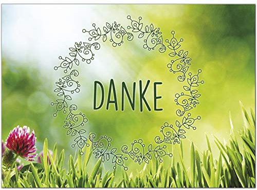 10 schöne Dankeskarten (Blumenwiese) mit 10 Umschlägen im Set - Danksagungskarten, Danke sagen nach Hochzeit, Geburt, Baby, Taufe, Geburtstag, Kommunion, Konfirmation, Jugendweihe
