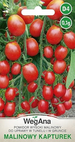 WegAna Raspberry Tomatoes Kapturek 0,1g Frön hög variation Cherry Tomato frön Robusta vegetabiliska frön Frön för odling 400-600 frukter Vegetabilisk trädgård