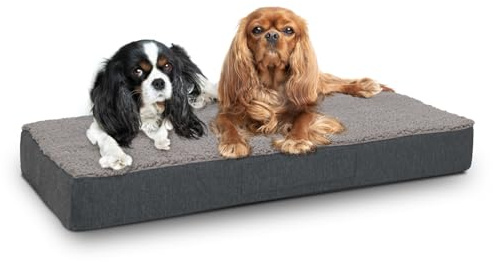 Sleezzz Petzzz Orthopädisches Hundekissen, Hundematratze, Hundebett 80 x 55 x 10 cm, Memory Foam, Grau, Waschbarer Bezug