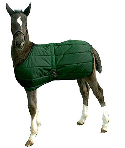 High Spirit Fohlen Decke, 158000GN, Hunter Green