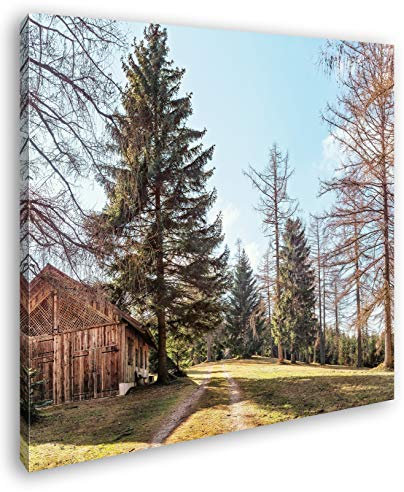 deyoli - Stampa Artistica su Tela con Immagine di Vecchia capanna di Legno nel Bosco, già incorniciata su Telaio in Legno Naturale, Stampa Digitale di Alta qualità, Senza Poster, 70x70
