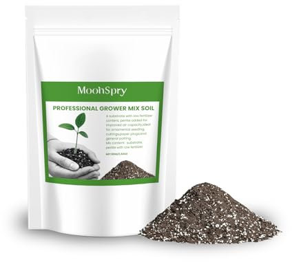 Terreau pour Cactus, terreau Tout Usage pour Plantes d'intérieur et d'extérieur, Drainage Rapide, pour Plantes d'intérieur, orchidées, bonsaïs, Perlite, prêt à l'emploi