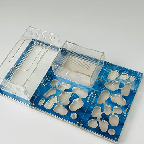 Großes Verbindungsausdehnungskasten Antennennest Arbeitswerk Haushalts Antfarm Natürliche Ameisenfarm 31x19x8cm Acryl unbegrenztes Verbindungsset Ameise Formicarium (C)