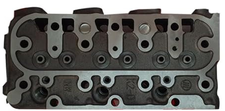 Meckparts Culasse Bare 16030-03044 1G053-03044 compatible avec véhicule utilitaire Kubota RTV1100CR Tracteur compact B21 B2100D Tondeuse avant F2260 F2400 Moteur D1105 Pelle KX41H KX61-2