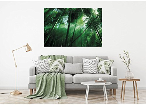 Cuadro Cartón Pluma Pared Bosque Bambú | Cuadro para Paredes | Cartón Pluma Decorativo | Varias Medidas 80 x 39 cm | Decoración comedores, Salones, Habitaciones...