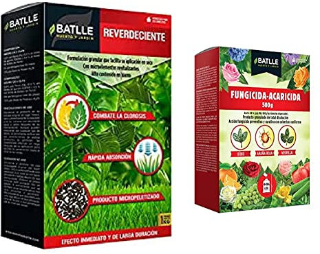 Reverdeciente 1kg + Fungicida Acaricida - Caja 500g