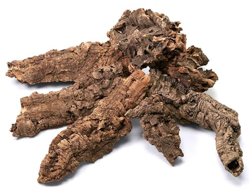 USCAPE Naturkorkstücke für Terrarium & Paludarium | Unbehandelte Korkrinde 5-20cm | Dekoration & Basteln - 500g