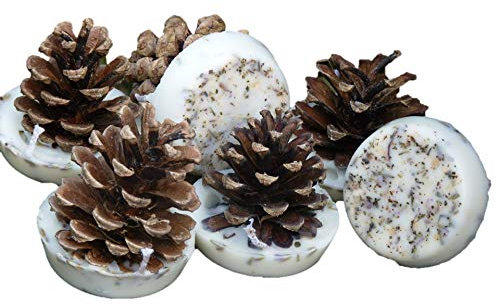 Kindlecone - Natural pine cone firelighters - Spring Meadow - Box of 12