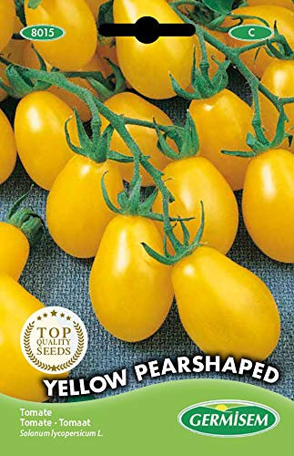 Germisem Tomate YELLOW PEARSHAPED, mehrfarbig, EC8015