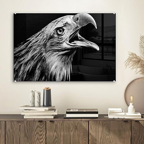 MuchoWow Glasbild Glasfoto Wandbild Bilder Deko 60x40 cm Adler - Porträt - Raubvögel - Schwarz - Weiß - Vogel