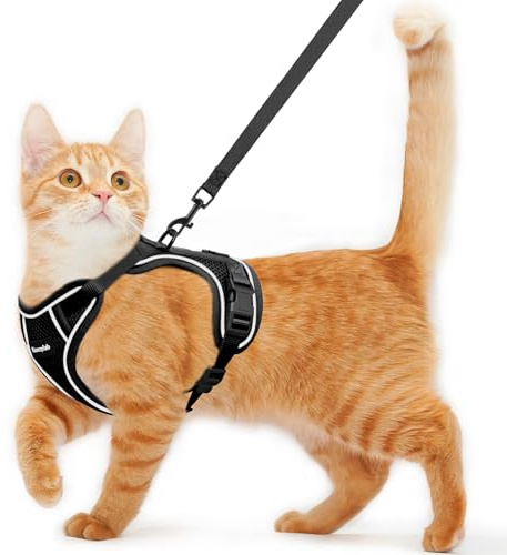 Cat Harness and Leash for Walking Escape Proof Soft Adjustable Cat Leash Breathable Comfortable Vest Easy to Wear Kitten Harness for Outdoor Travel (Black, M (13-18lb))