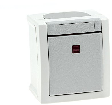 Aufputz Taster beleuchtet Feuchtraum IP54, mit transparenter Kalotte, Modell Pacific, grau