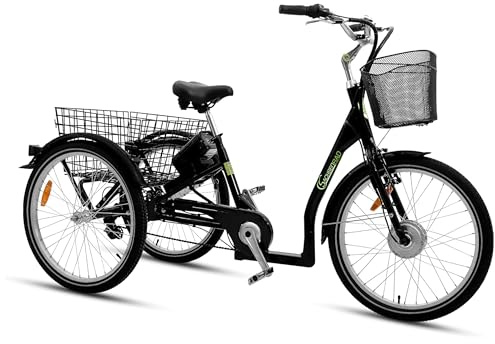SachsenRAD Vélo Cargo électrique T3A Trio avec système d'alarme, vélo électrique 250 W avec écran LCD et éclairage LED homologué StVZO pour Le Transport des Enfants, Cellule LG Durable, Noir