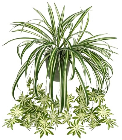Zelphvt 2 Packs Artificial Spider Plant, 24 Inch Fake Hanging Greenery Plant UV Resistant Faux Chlorophytum Comosum Silk Spider Plants for Indoor Outdoor Home Garden Office Decor (Pot Not Included)