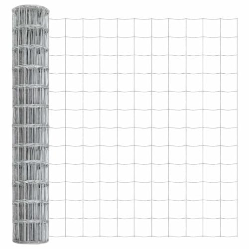 QJBSAVVA Eurozaun - Recinzione da giardino, 1 x 10 m, in ferro rivestito in PVC, maglie 100 x 100 mm, robusta recinzione in rete metallica per giardino, terrazza e delimitazione, verde