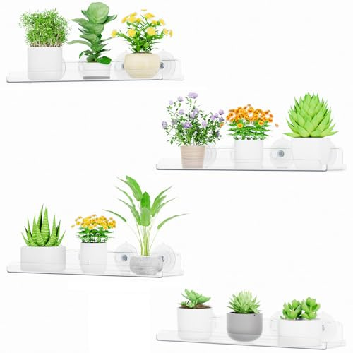Lifewit flytande hyllor för fönsterväxter 38 cm, 4-pack akrylhylla med sugkopp, förlängning för fönsterbräda för suckulenta inomhusväxter, små gröna växter, krukor för frösådd, kryddväxter