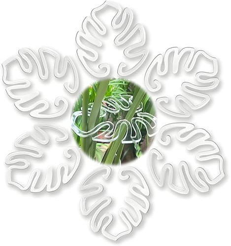 6 soportes para plantas, 15 x 15 cm, clips para plantas, soporte transparente para plantas perennes, soporte para enredaderas Monstera, soporte para hortensias, soporte para plantas, flores, rosas