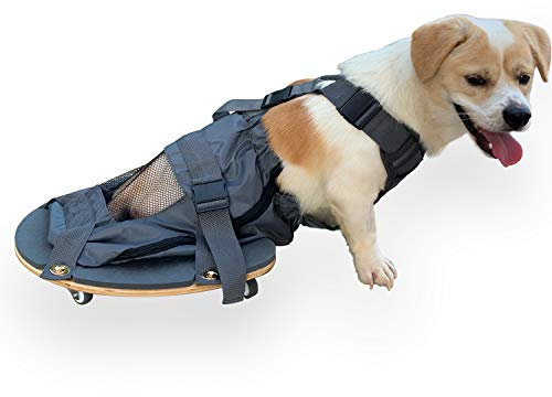 derYEP Pet Scooter Rollstuhl für Hinterbeine, paralysierter Hund, schützt Brust und Gliedmaßen... (S-Drag Bag)