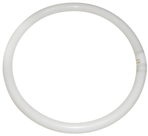Eveready CIR40SPWW Circular Fluorescent Tube, Glass, Warm White, GR10q, 40 W
