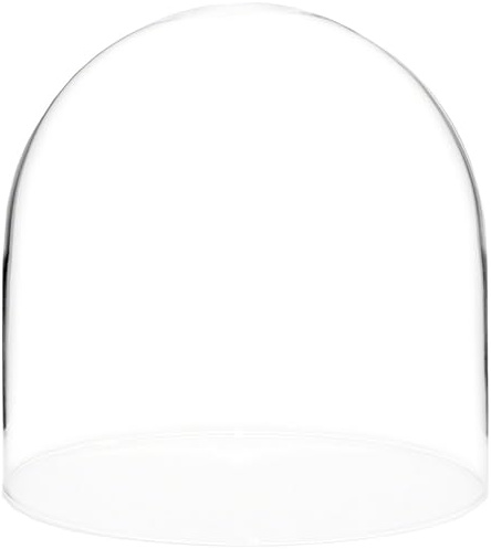 Plymor 8 x 8 Glass Display Dome Cloche (no Base)