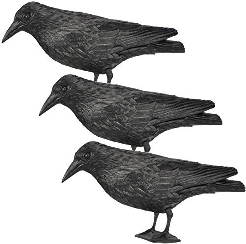 Rabe Krähe Taubenschreck Vogelschreck Taube Vogel Schreck Pflanzenschutz 36cm - 3 Stück