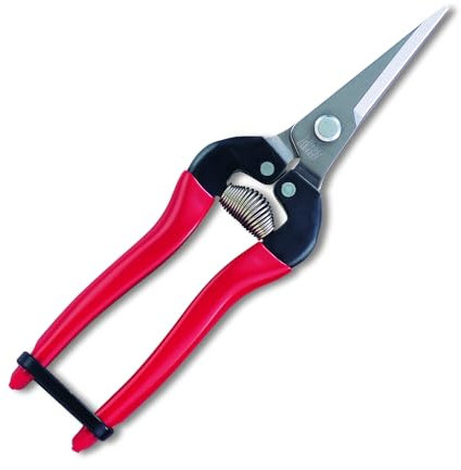 ARS HP-300LDX Obstschere aus Edelstahl mit Nadelnase.