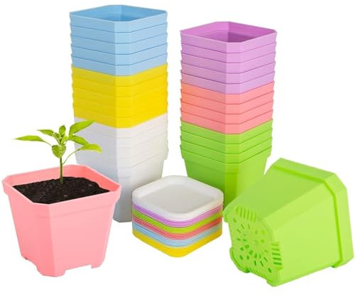 KAHEIGN 24Pcs Blumentöpfe Kunststoff Quadratische Blumentöpfe, 7cm kleine Kunststoff Bunt Pflanztöpfe Sukkulente Pflanzgefäße mit Palette für Balkon Büro Zuhause Dekoration