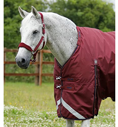 Premier Equine wasserdichte Outdoor-Decke für Pferde mit Halsabdeckung Buster 400 g
