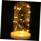 Hoement Fire Tree Silver Flower Night Light LED Light Home Night Light Table Lamp Glass Dome Bedside Light Glass Night Lamp Glass Dome Night Light LED Glass Dome Light Decorative Lamp