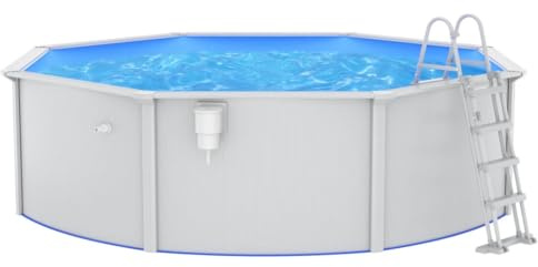 Piscina con parete in acciaio, 460 x 120 cm, con scala di sicurezza, rivestimento in PVC, piscina da giardino per famiglie, con skimmer, materiale robusto, ideale per l'estate e il relax