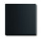 Busch-Jaeger 1786-885 Wippe Schwarz Matt future linear 2CKA001751A3041