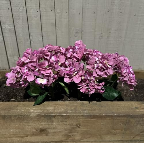 Garden 365 - Artificial Hydrangea - Fake Garden Plants Year Round - 3 Pack (Lilac)