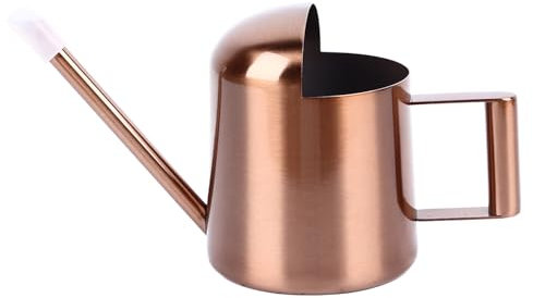 Gießkanne für Zimmerpflanzen, Gießkanne für den Innenbereich, Edelstahl-Metall-Gießkanne mit Langem Auslaufkopf, Gießkanne für Pflanzen, Garten, Blumen, Lange Auslauf-Wasserkanne