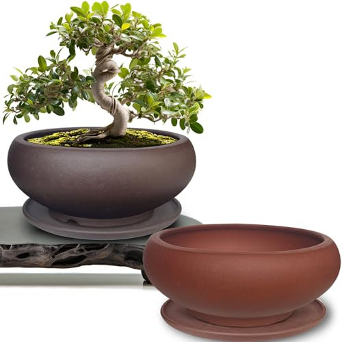 MUZHI Lot de 2 pots à bonsaï ronds en céramique de 13,5 cm avec plateaux d'égouttage assortis marron rouge, petits pots vintage Zisha succulentes avec soucoupes, minimaliste, non émaillé, classique