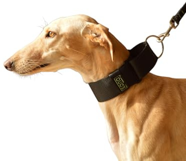 bub's Collar Martingale - Collar para Perro, antialérgico y Suave.Diseñado para Todo Tipo de Razas de Perro y Especialmente para Galgos y Podencos (Negro, L 50 mm Ancho)