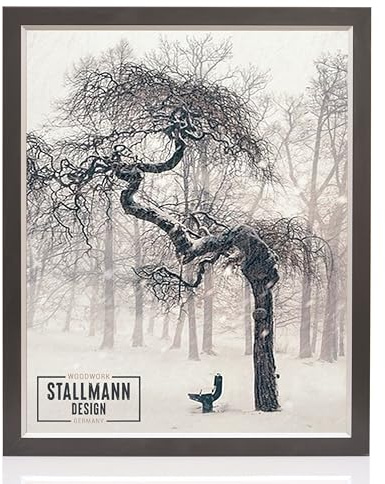 Stallmann Design 'My Frames' Bilderrahmen 30 x 90 cm | Farbe: Schwarz-Silber | eleganter Rahmen - schwarzes Finish - Kante silber