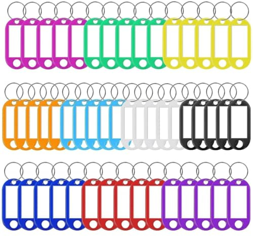 100 pièces porte-clés de couleurs porte clef étiquettes colorées porte clef en plastique étiquettes d'identification avec Porte-clé fendu