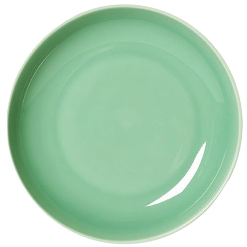 8 Inch Round Ceramic Plant Saucer, Waterproof Flower Pot Plate for Indoor or Outdoor Plants, Garden Lawn Supplies (Style 2)