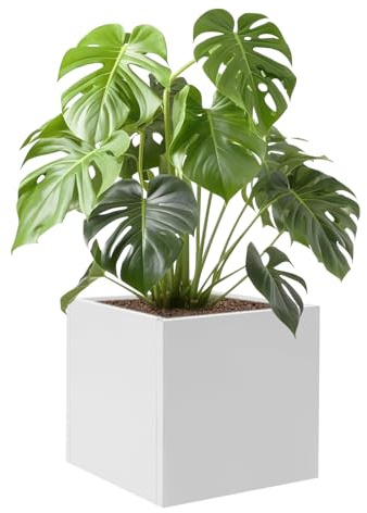 SAUADY Macetero cuadrado para exteriores, caja de plantación de cubos, interior y exterior, para jardines, entradas, patios, color blanco, 60 x 60 x 60 cm