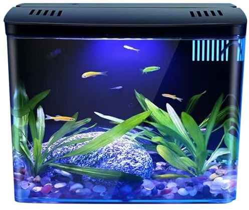 Odoukey Piccolo Bosco di Pesce 1, 3 galloni, Acquario Trasparente con Filtro a 3 Strati e Luce a LED, Serbatoio del Desktop Auto -Pulizia per Betta, gamberi, Pesce Rosso, Nero