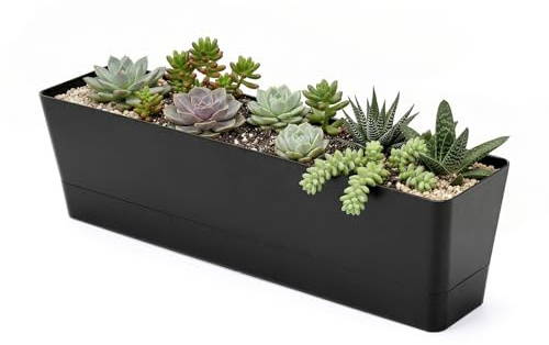 GREANER Kräuter-Blumenkasten 40,6 x 9,7 cm, 1 Stück, schwarz, rechteckig, mit herausnehmbarem Untersetzer und Drainageloch, für Sukkulenten, Blumen, für Balkon, Büro, Fensterbank, Garten, Innen, Außen