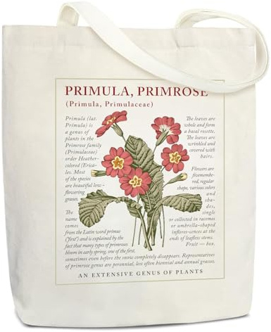 Lidxfeo Canvas Tote Bag mit Reißverschluss, Faltbar Einkaufstasche Große, Baumwolle Stofftasche Aesthetic Damen, Jutebeutel Bedruckt mit Innentaschen, für Arbeit, Einkaufen, Schule und Alltag