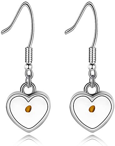 Charm Fatih eines Senfkorns Herz Anhänger Ohrringe für Frauen, Edelstahl Haken Ohrringe baumeln für Mädchen Y582 (Herz)