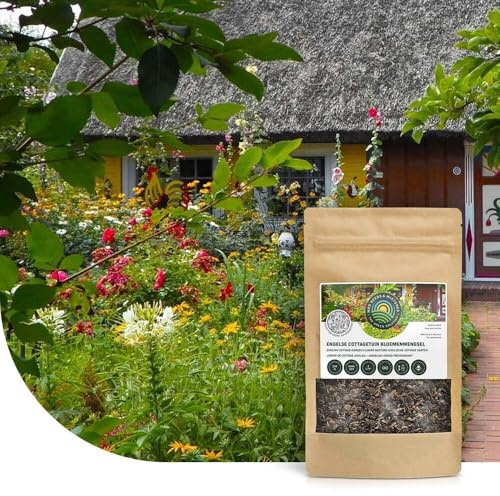 Mélange de fleurs de cottage-garden anglais - 10 grammes pour 5 m² - Fleurs sauvages annuelles et vivaces - Attractif pour les insectes utiles - Peu d'entretien
