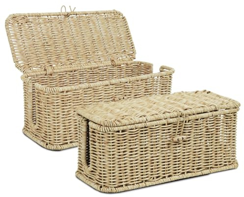 IXTRA 2-Pack Cable Management Box Set, Handwoven Rattan Cord Organizer, Decorative Cord Hider with Lid, Large Cable Organizer for Desk, TV Wires,Power Strips & Cords Natural